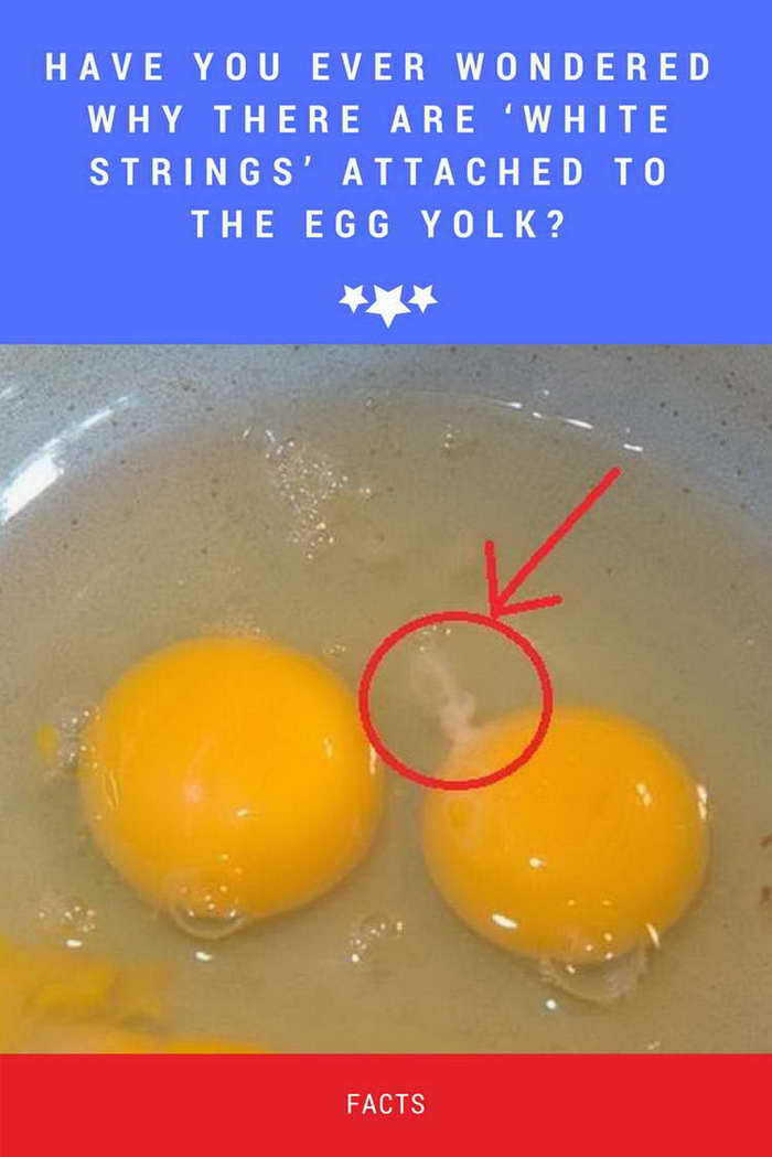 Have You Ever Wondered Why There Are ‘White Strings’ Attached To The