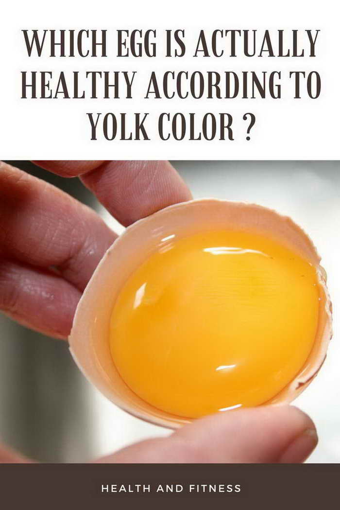 Which Egg Is Actually Healthy According To Yolk Color