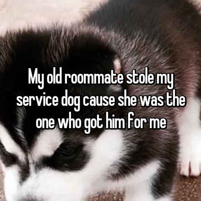 My old roommate stole my service dog cause she was the one who got him for me