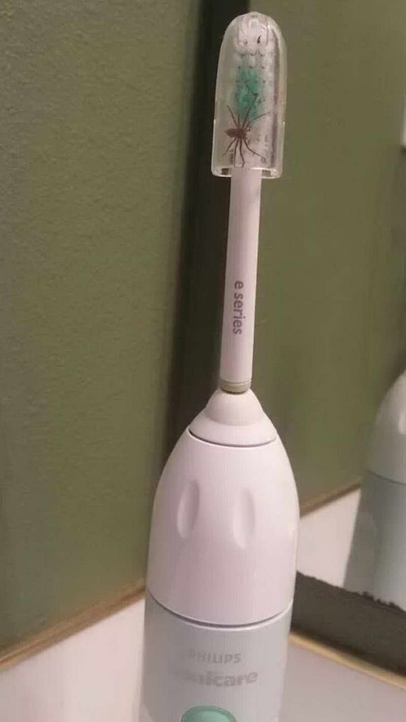 how to brush your teeth for kids how to properly brush your teeth